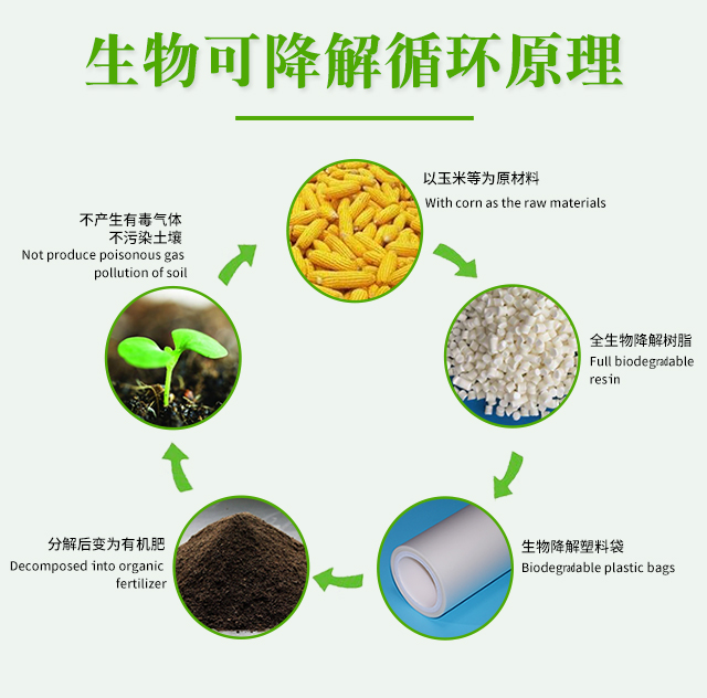 世界各國禁塑令-生物降解袋市場機遇來了(圖1)